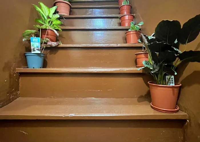 Appart hôtel 1 Floor Centre Sulemange